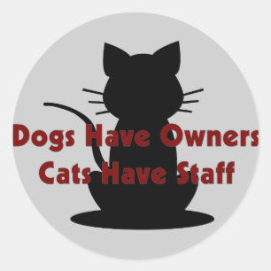 Adesivo Os cães têm gatos dos proprietários… ter