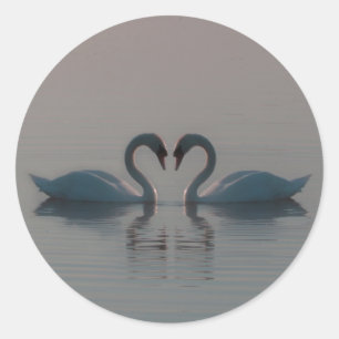 Adesivo Os Cisnes Azuis Devem Ser Apaixonados