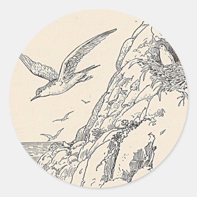 Adesivo Os Gaivotas Marítimos (Frente)