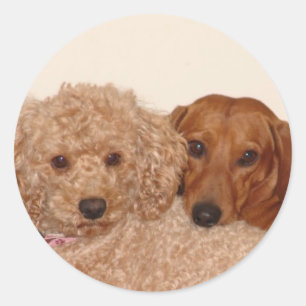 Adesivo Os melhores botões