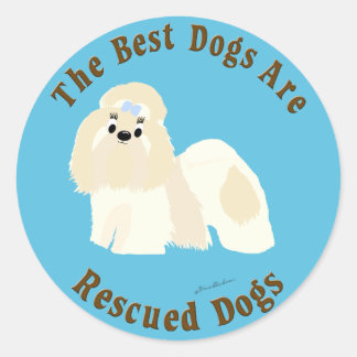 Adesivo Os Melhores Cães São Recuperados (Shih Tzu)