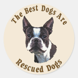 Adesivo Os melhores cães são resgatados - Boston Terrier
