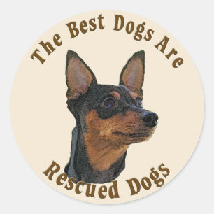 Adesivo Os melhores cães são salvados - Pinscher diminut