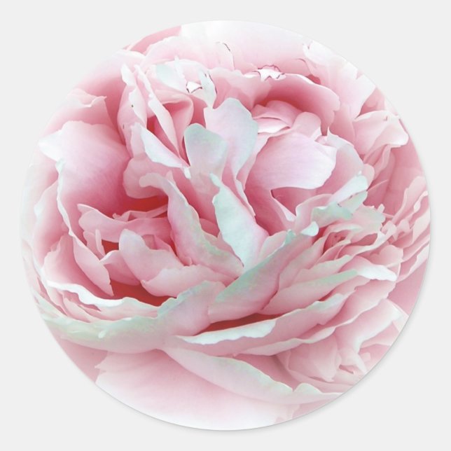 Adesivo Os Selos De Envelope De Flor De Casamento (Frente)