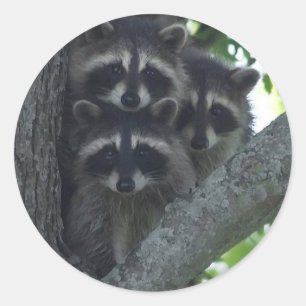 Adesivo Os Três Amigos