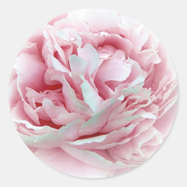 Adesivo Os Vinhetas De Flor De Casamento (Frente)