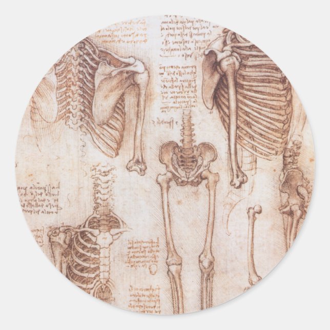 Adesivo Ossos do Esqueleto da Anatomia Humana de Leonardo  (Frente)