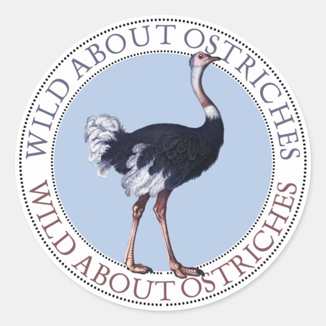 Adesivo Ostrich Stickers (Frente)