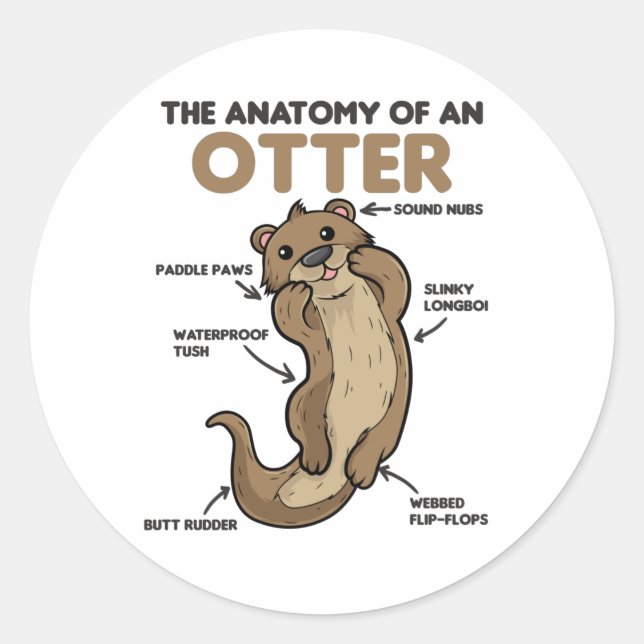 Adesivo Ótima Explicação Da Outra Anatomia De Uma Outra (Frente)