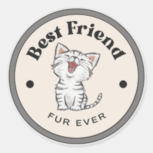 Adesivo ÓTIMO! Stickers - Pele de Melhor Amigo - Gatinho