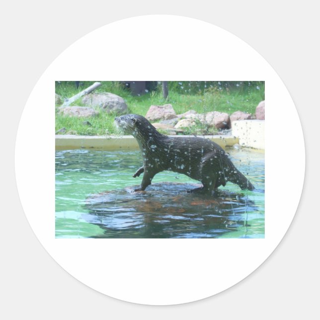 Adesivo Otter (Frente)
