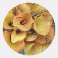 Ouro Calla Líquidos Adesivos/Selos