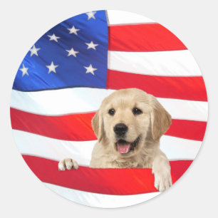 Adesivo Ouro - Cão de sempre na bandeira