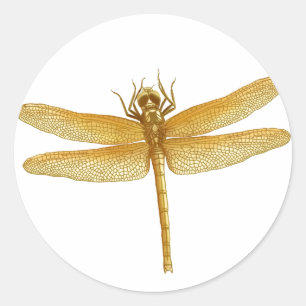 Adesivo Ouro Dragonfly Sticker