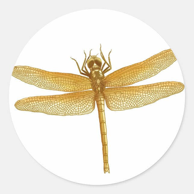 Adesivo Ouro Dragonfly Sticker (Frente)
