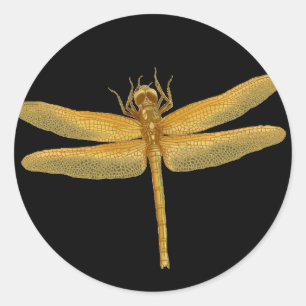 Adesivo Ouro Dragonfly Sticker