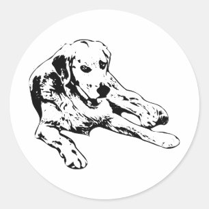 Adesivo Ouro em Linhas Simples