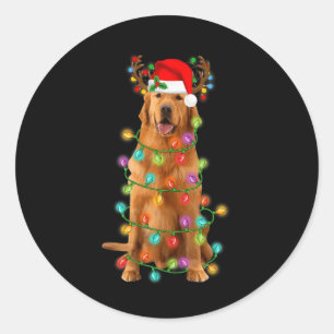 Adesivo Ouro Retriever Árvore de Natal Luz Pajama