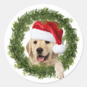 Adesivo Ouro Retriever Fia de Natal