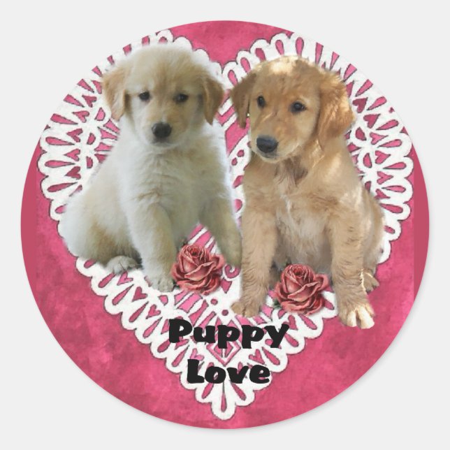 Adesivo Ouro Retriever Puppies Dias de os namorados (Frente)