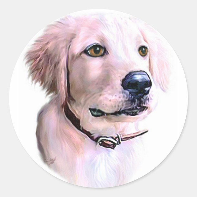 Adesivo Ouro Retriever Puppy (Frente)