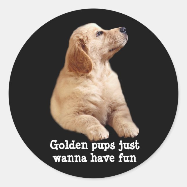 Adesivo Ouro Retriever Puppy Sticker (Frente)