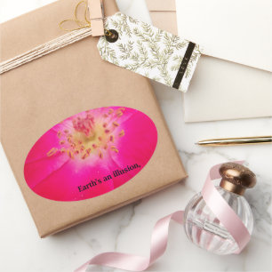 Adesivo Oval A Terra é uma ilusão