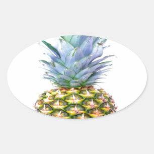 Adesivo Oval Abacaxi Fruta Praia Sobremesa Colorido Tropical