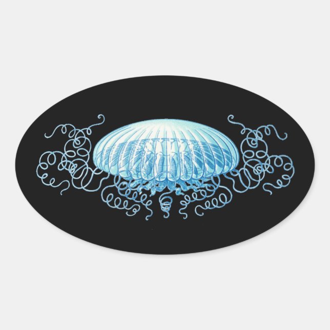 Adesivo Oval Água-viva Haeckel Personalizável (Frente)