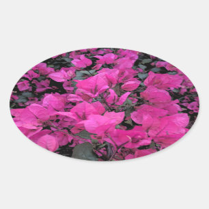 Adesivo Oval Aguarela-Bougainvillea