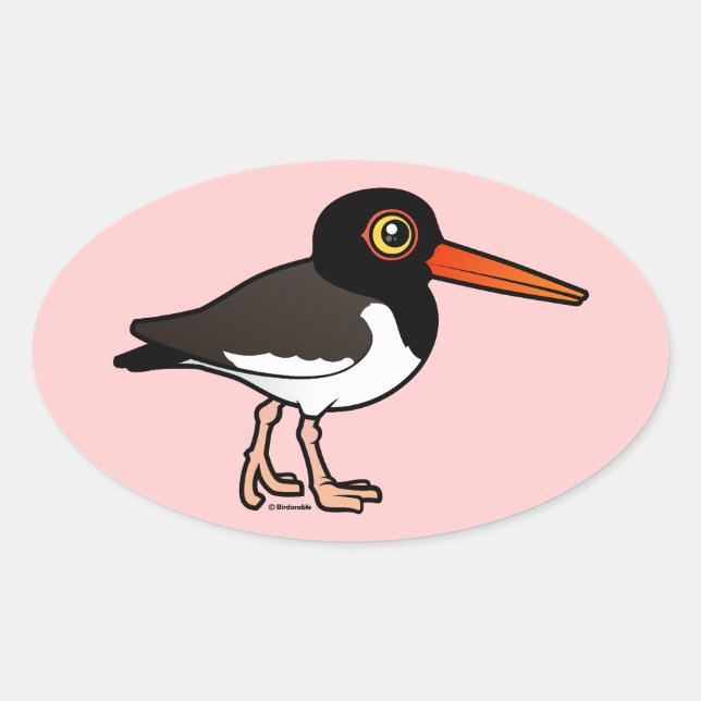 Adesivo Oval American Oystercatcher (Frente)