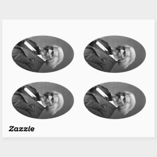 Adesivo Oval Antigo Herói Afro-Americano do rick 3d3 Bailey Dou