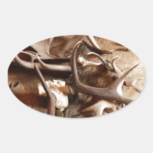 Adesivo Oval Antlers dos alces dos alces dos cervos que caçam