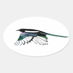 Adesivo Oval Arte da natureza do pássaro do Magpie da aguarela