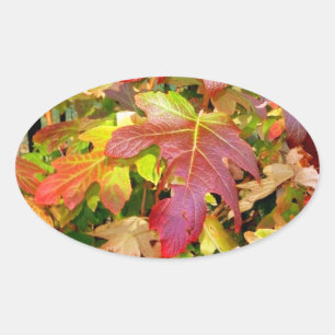 Adesivo Oval "Autumn Leaves"