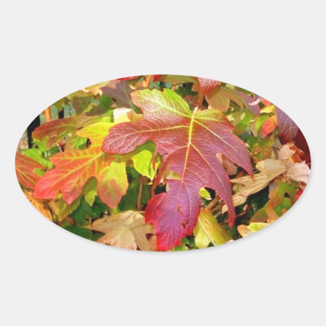 Adesivo Oval "Autumn Leaves" (Frente)