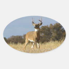 Adesivo Oval Autumn Whitetail Buck