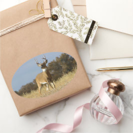 Adesivo Oval Autumn Whitetail Buck