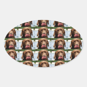 Adesivo Oval Azulejos de Chocolate Labrador Retriever PT