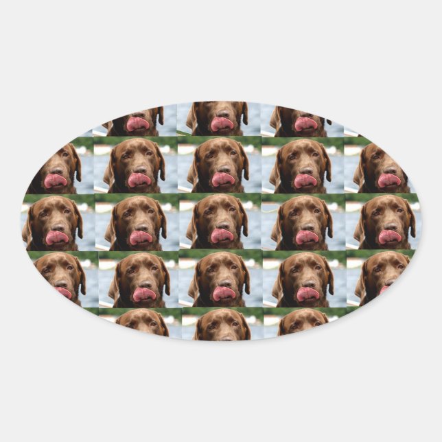 Adesivo Oval Azulejos de Chocolate Labrador Retriever PT (Frente)