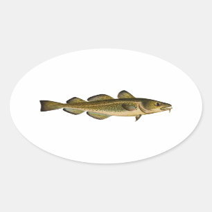 Adesivo Oval Bacalhau atlântico