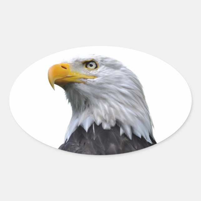 Adesivo Oval Bald Eagle (Frente)
