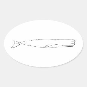 Adesivo Oval Baleia de esperma (linha arte)