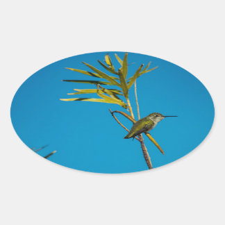 Adesivo Oval Beija-flor-da-garganta-fêmea na árvore