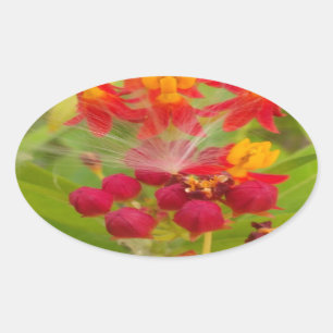Adesivo Oval Bela Estampa de Arte Floral Colorida com Flor de S