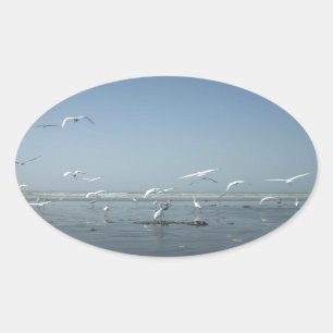 Adesivo Oval Belas guindastes voando sobre o Balé da natureza