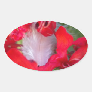 Adesivo Oval Beleza Delicada: Flor Vermelha com Pena Branca
