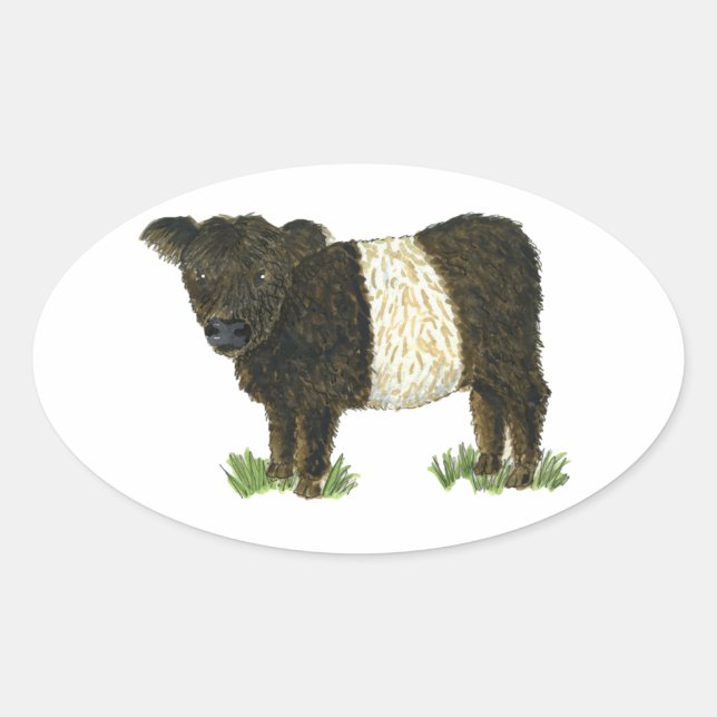 Adesivo Oval 'Beltie' Cinturado Galloway (Frente)
