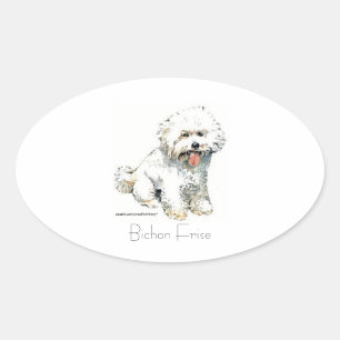 Adesivo Oval Bichon Frise