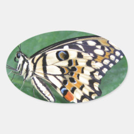 Adesivo Oval Borboleta branca e preta amarela na folha